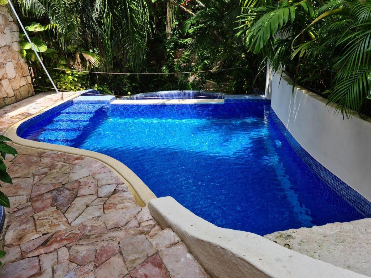Luxury Steps To The & 5ta Av, Amazing * Playa del Carmen